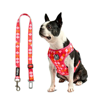 Pechera Tradicional para mascotas Incluye Cinturón para carro+ Envio Gratis -- Selecciona Diseño Frida Pets