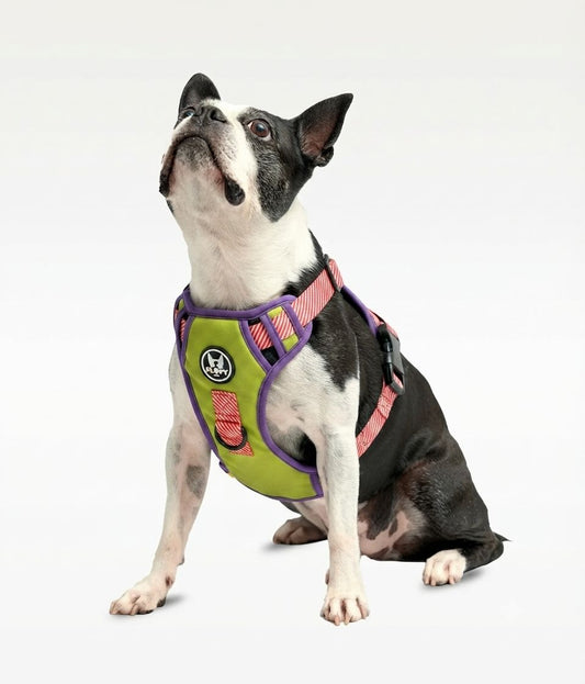 Pechera para mascotas Evo 2.0  -  Astronauta