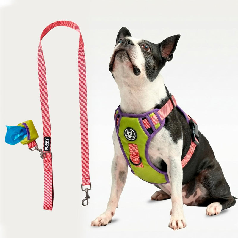 Pechera para mascotas Evo 2.0  con Correa + Portabolsas + Envio Gratis