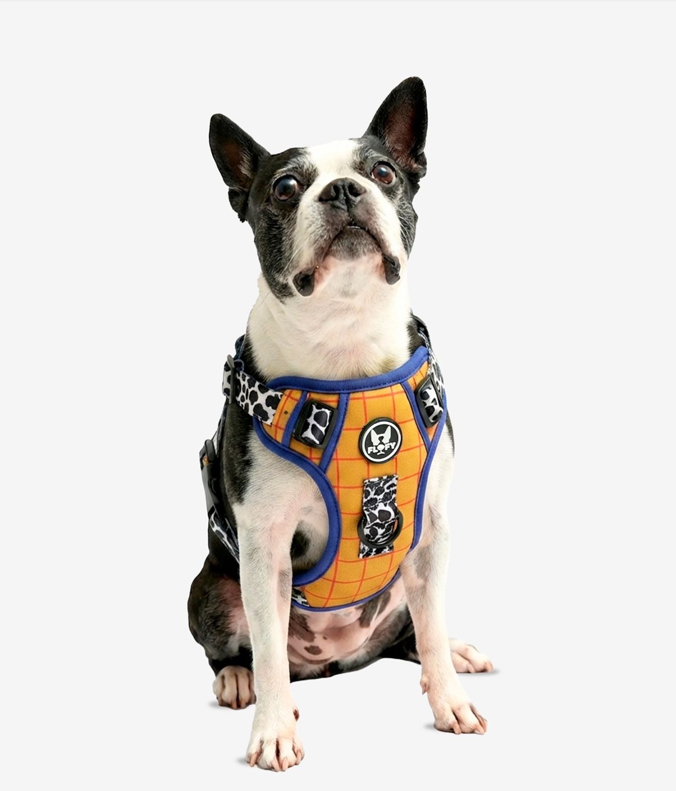 Pechera para mascotas Evo 2.0  - Vaquero