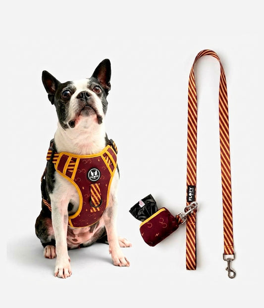 Pechera para mascotas Evo 2.0  con Correa + Portabolsas + Envio Gratis