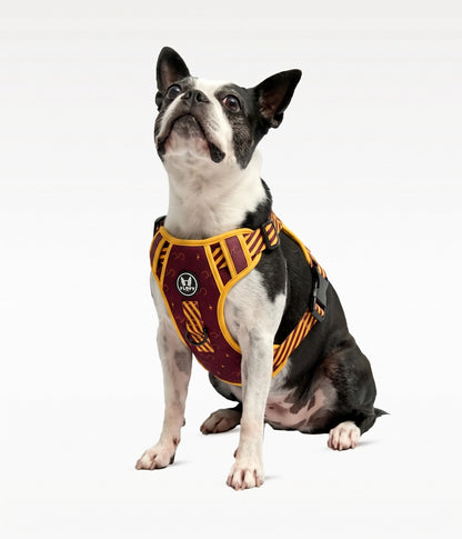 Pechera para mascotas Evo 2.0  -  Mago