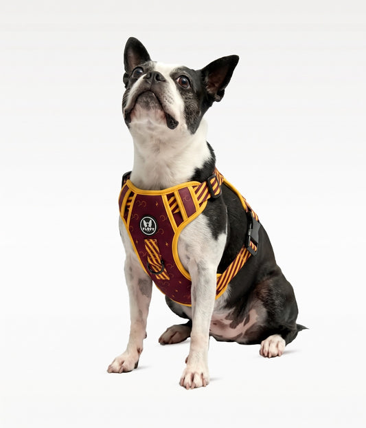 Pechera para mascotas Evo 2.0  -  Mago