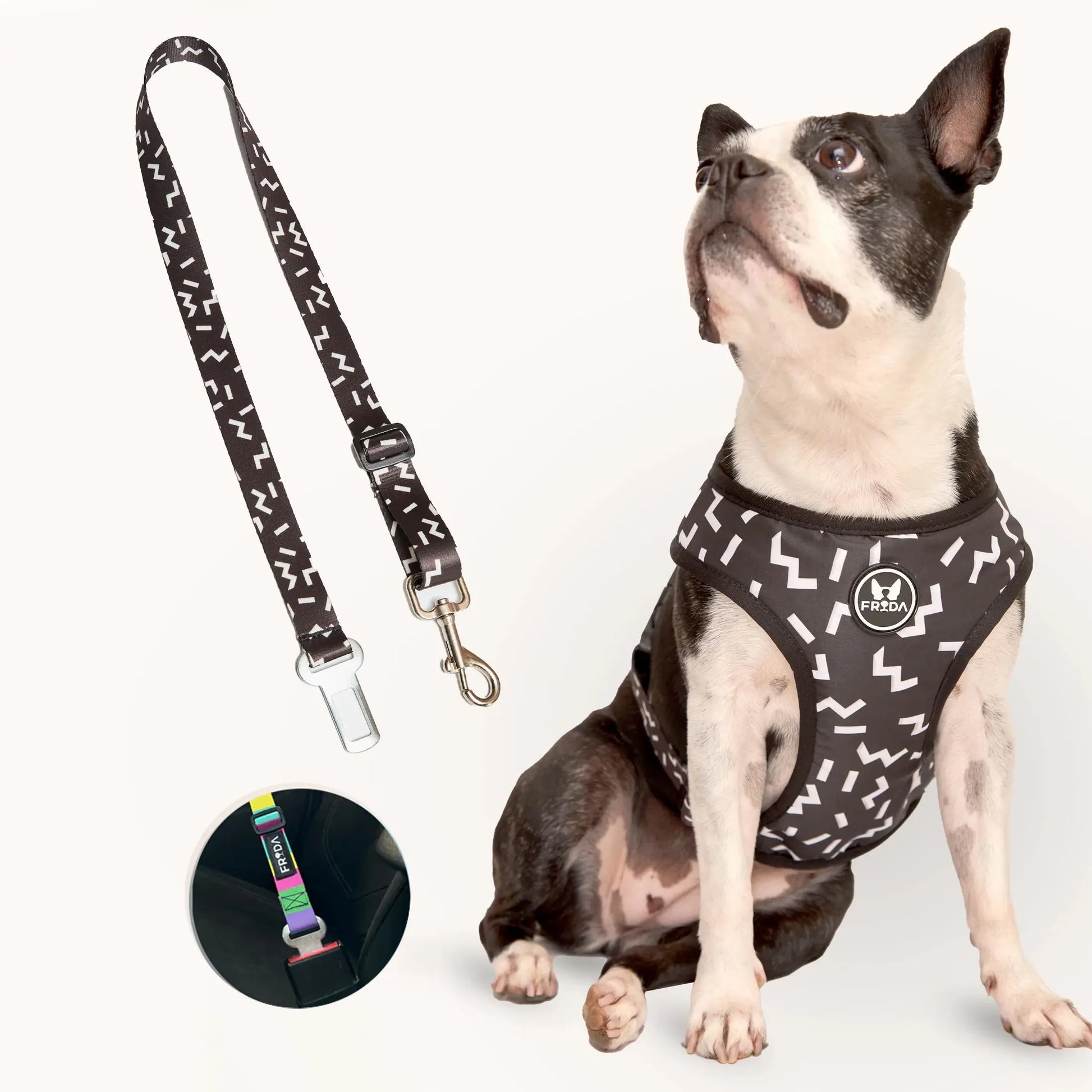 Pechera Tradicional para mascotas Incluye Cinturón para carro+ Envio Gratis -- Selecciona Diseño Frida Pets