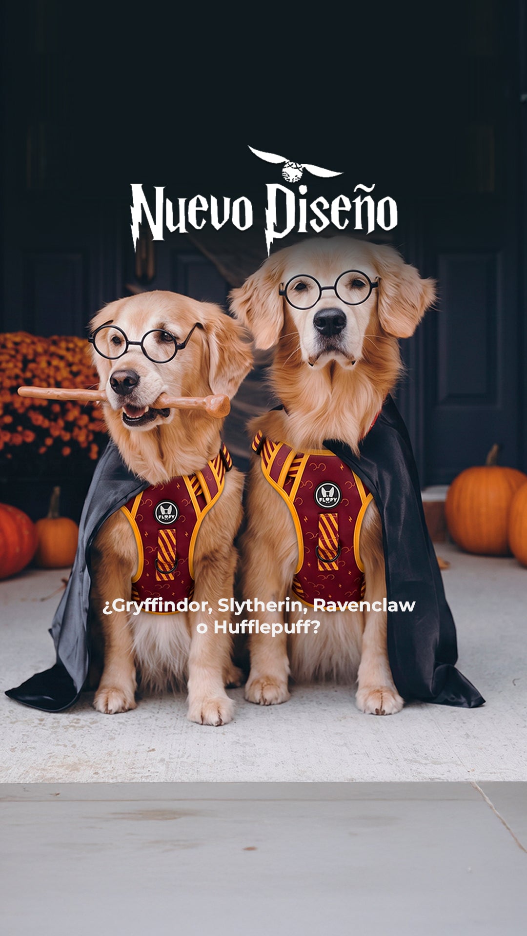 Banner Mobile 2