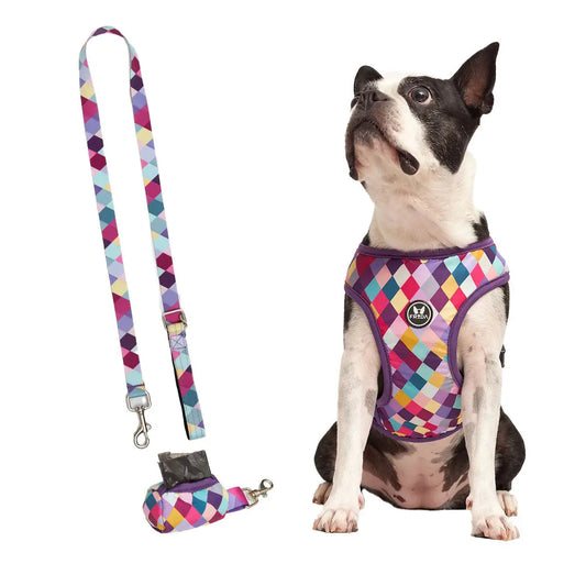Pechera para mascotas y Correa - Rombos Morados Frida Pets