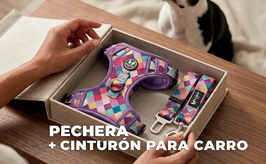 Todo en un kit