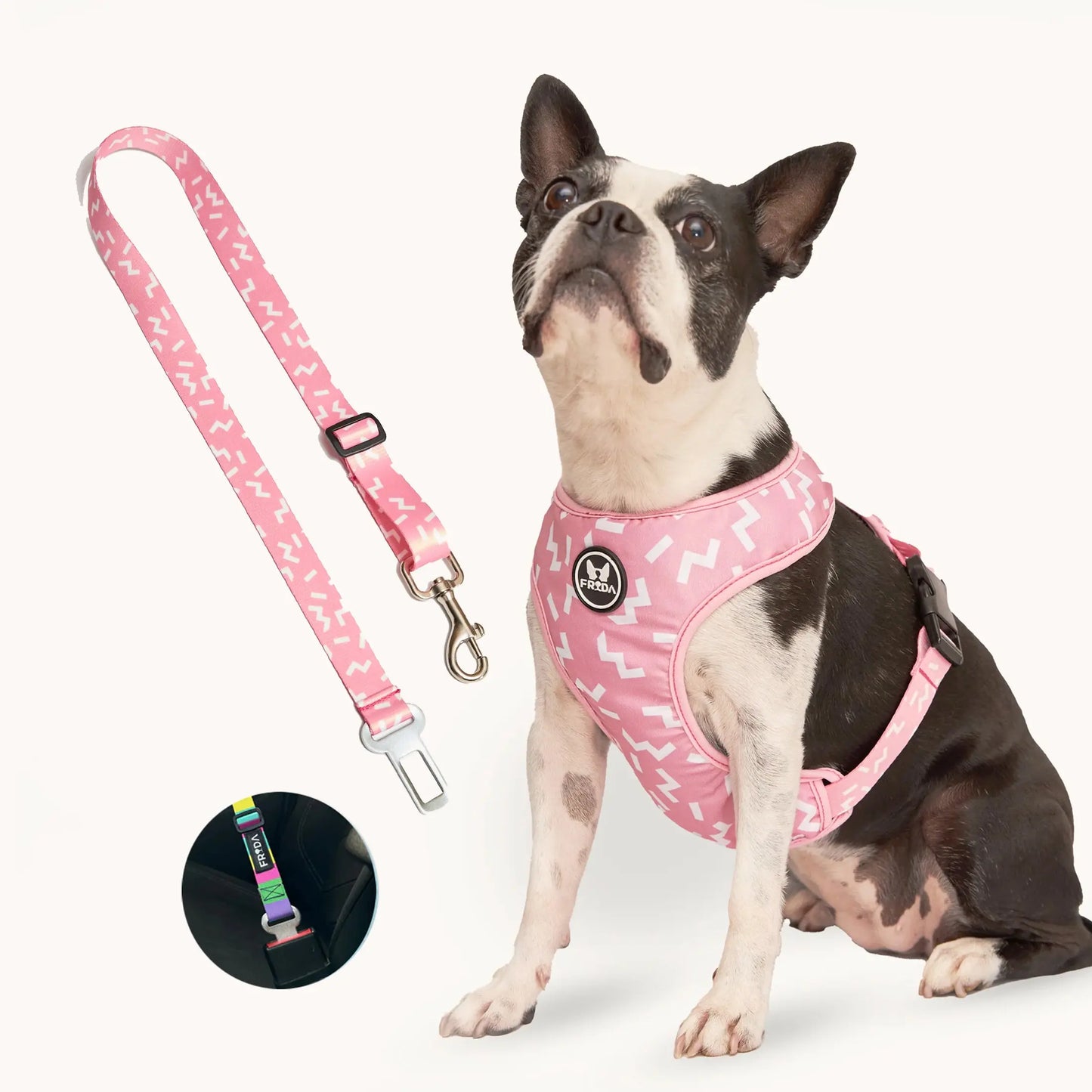 Pechera Tradicional para mascotas Incluye Cinturón para carro+ Envio Gratis -- Selecciona Diseño Frida Pets