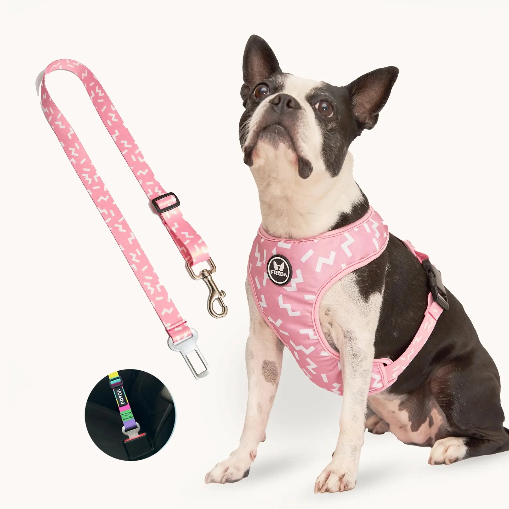 Pechera Tradicional para mascotas Incluye Cinturón para carro+ Envio Gratis -- Selecciona Diseño Frida Pets